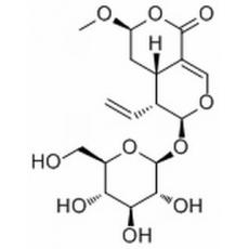 表斷馬錢子甙半縮醛內(nèi)酯
